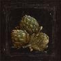 Artichoke by Kate Mcrostie Limited Edition Pricing Art Print