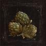 Artichoke by Kate Mcrostie Limited Edition Print