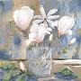 Magnolias by Petrina Sutton Limited Edition Print