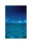 Ocean Blue by Yukimasa Hirota Limited Edition Pricing Art Print