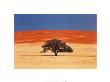 Namibia by J. P. Nacivet Limited Edition Print