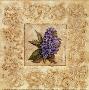 Hydrangea Scroll by Charlene Winter Olson Limited Edition Print