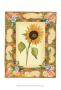 French Country Sunflower Ii by Jennifer Goldberger Limited Edition Pricing Art Print