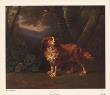 Spaniel In A Landscape by George Stubbs Limited Edition Pricing Art Print