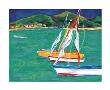 Tropical Sailboats Ii by Joyce Shelton Limited Edition Print