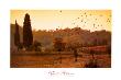 Veneto Autumn by Steven Rothfeld Limited Edition Pricing Art Print