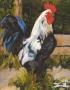 Don't Fence Me In by Linda St. Clair Limited Edition Pricing Art Print