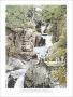 Wild River Golf And Hiking by Loyal H. Chapman Limited Edition Print