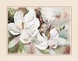 Magnolia Blooms by Terry Madden Limited Edition Pricing Art Print