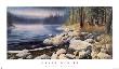 Misty Waters by Kevin Daniel Limited Edition Print