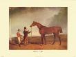 Plenipotentiary (Race Horse) by Abraham Cooper Limited Edition Pricing Art Print