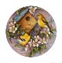 Goldfinch And Apple Blossoms by Carolyn Shores-Wright Limited Edition Print