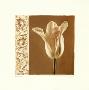 Lumiere I by Amy Melious Limited Edition Print