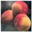 Peaches by Karin Kneffel Limited Edition Print