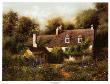 English Summer Garden by Dwayne Warwick Limited Edition Print