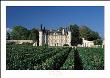 Chateau Pichon Longueville-Baron by Mick Rock Limited Edition Print