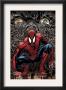 The Amazing Spider-Man #553 Cover: Spider-Man by Phil Jimenez Limited Edition Pricing Art Print