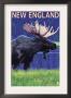 Moose At Night In New England, C.2009 by Lantern Press Limited Edition Pricing Art Print