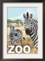 Visit The Zoo - Zebra Scene, C.2009 by Lantern Press Limited Edition Print