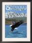 Sequoia Nat'l Park - Eagle Fishing - Lp Poster, C.2009 by Lantern Press Limited Edition Print