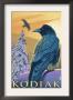 Kodiak, Alaska - Ravens, C.2009 by Lantern Press Limited Edition Pricing Art Print