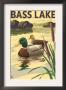 Bass Lake, California - Mallard Ducks, C.2009 by Lantern Press Limited Edition Pricing Art Print
