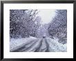 Road Covered With Snow, Winchester, Ma by Frank Siteman Limited Edition Print