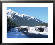 Wildlife Overpass, Banff National Park, Can by Troy & Mary Parlee Limited Edition Print