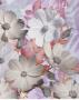 Lovely Bloom Ii by Matina Theodosiou Limited Edition Print