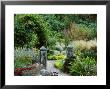 Granite Gate Posts In Contemporary Garden Late Summer Pinsla Garden, Cornwall by Mark Bolton Limited Edition Print