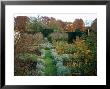 Herb Garden With Sundial At Cranborne Manor, Dorset by Carole Drake Limited Edition Pricing Art Print