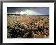 Navajo Sandstone, Paunsaugunt Plateau, Usa by Olaf Broders Limited Edition Print