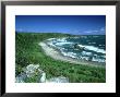 Cape Foulwind, New Zealand, Named By Captain Cook by Robin Bush Limited Edition Print