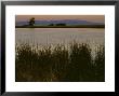 Sunrise Light On A Pond At Chico Basin Ranch, Colorado by Willard Clay Limited Edition Print