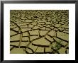 Dried Up Waterhole, Algeria by Richard Packwood Limited Edition Print