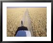 View Of Road To Baines Baobabs Nxai Pan National Park, Botswana by Richard Packwood Limited Edition Print