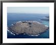 Sombrero Chino Island, Galapagos Islands by Mary Plage Limited Edition Print