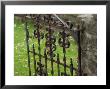 Rural Ireland, Iron Gate by Keith Levit Limited Edition Pricing Art Print