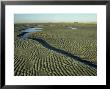Sand Ripples And Tidal Pools, West Sussex, Uk by Ian West Limited Edition Print