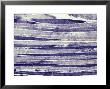 Normal Human Skeletal Muscle by G. W. Willis Limited Edition Print