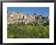 Cathedral Of San Giorgio And Town Of Ragusa Ibla, Southeast Of Sicily, Italy by Richard Ashworth Limited Edition Print