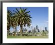 Palm Trees And City Skyline, Perth, Western Australia, Australia by Peter Scholey Limited Edition Print