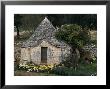 Trullo Near Locorotondo, Puglia, Italy by Michael Newton Limited Edition Print