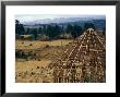 Hut Construction Above The Flatlands, Omo River Region, Ethiopia by Janis Miglavs Limited Edition Print