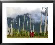 Monks With Praying Flags, Phobjikha Valley, Gangtey Village, Bhutan by Keren Su Limited Edition Print