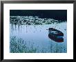 Rowboat On Lake Surrounded By Water Lilies, Lake District National Park, England by Tom Haseltine Limited Edition Print