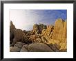 Jumbled Rocks, Joshua Tree National Park, California, Usa by Chuck Haney Limited Edition Print