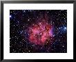 Cocoon Nebula by Stocktrek Images Limited Edition Print