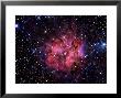 Cocoon Nebula by Stocktrek Images Limited Edition Print