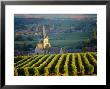 Vineyard And Church, Ville Dommange, Champagne, France by John Miller Limited Edition Pricing Art Print